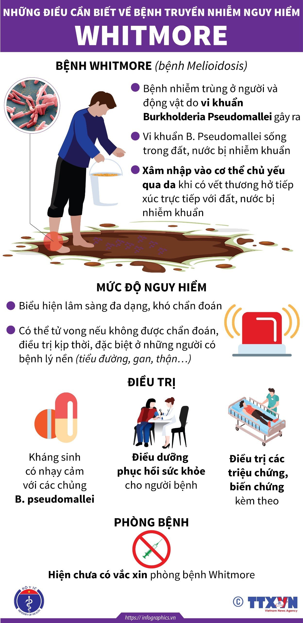 Bộ Y tế khuyến cáo phòng chống bệnh Whitmore trong cộng đồng